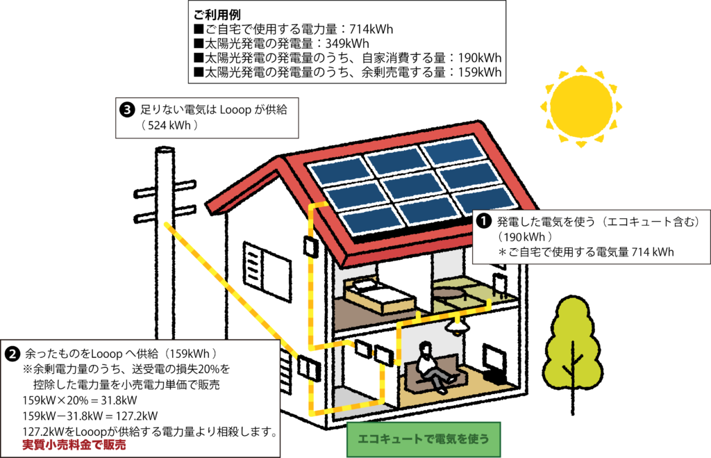 ループ電気 コレクション その他